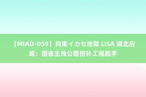 【MIAD-059】拘束イカセ地獄 LISA 湖北应城:国省主线公路挖补工程脱手