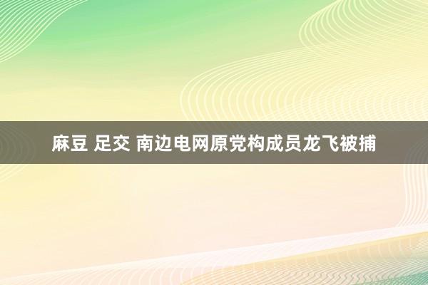 麻豆 足交 南边电网原党构成员龙飞被捕