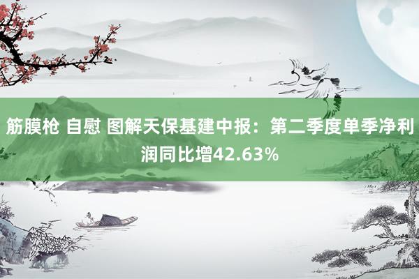 筋膜枪 自慰 图解天保基建中报:第二季度单季净利润同比增42.63%