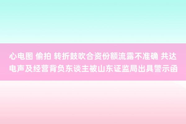 心电图 偷拍 转折鼓吹合资份额流露不准确 共达电声及经营背负东谈主被山东证监局出具警示函