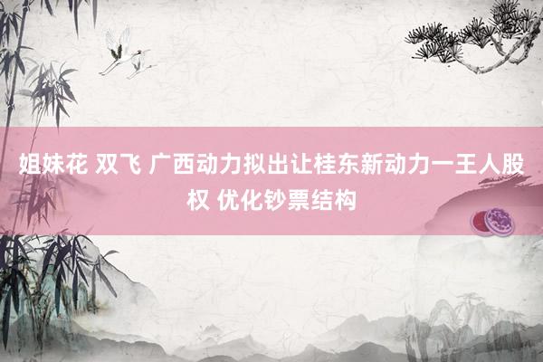 姐妹花 双飞 广西动力拟出让桂东新动力一王人股权 优化钞票结构