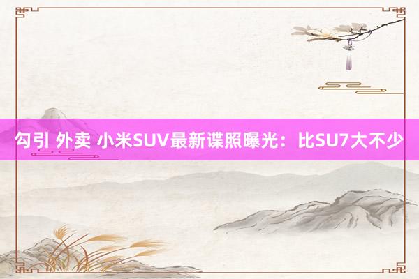 勾引 外卖 小米SUV最新谍照曝光：比SU7大不少
