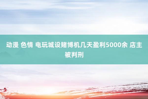 动漫 色情 电玩城设赌博机几天盈利5000余 店主被判刑