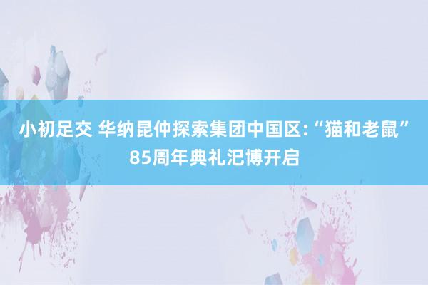 小初足交 华纳昆仲探索集团中国区:“猫和老鼠”85周年典礼汜博开启