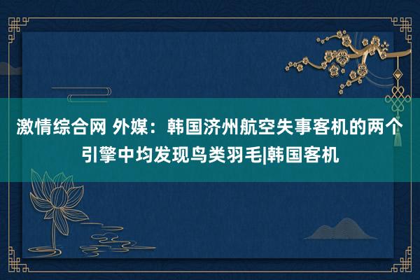 激情综合网 外媒：韩国济州航空失事客机的两个引擎中均发现鸟类羽毛|韩国客机