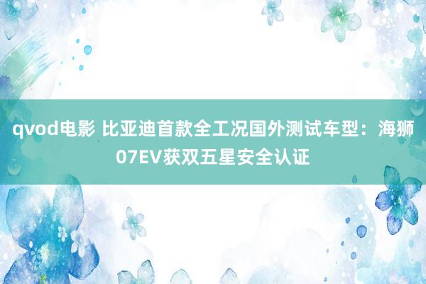 qvod电影 比亚迪首款全工况国外测试车型：海狮07EV获双五星安全认证