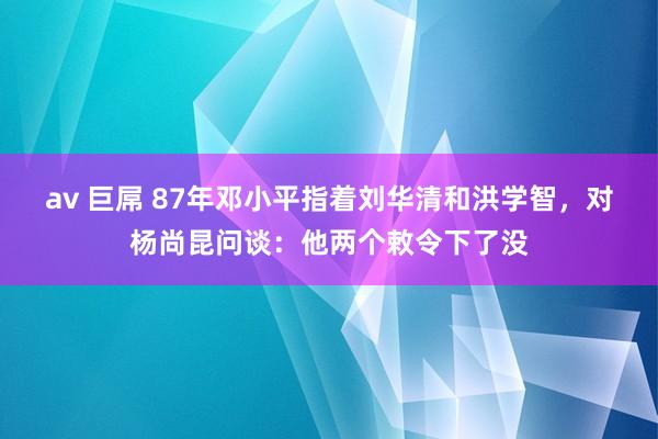 av 巨屌 87年邓小平指着刘华清和洪学智，对杨尚昆问谈：他两个敕令下了没