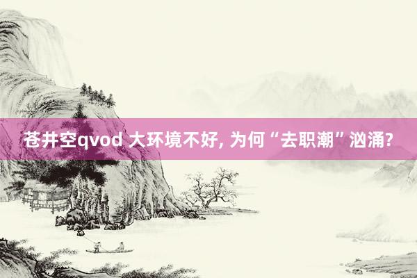 苍井空qvod 大环境不好， 为何“去职潮”汹涌?